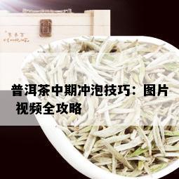 普洱茶中期冲泡技巧：图片 视频全攻略