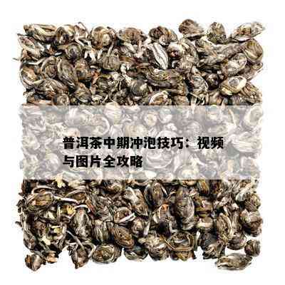 普洱茶中期冲泡技巧：视频与图片全攻略