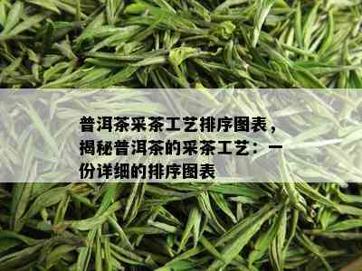 普洱茶采茶工艺排序图表，揭秘普洱茶的采茶工艺：一份详细的排序图表