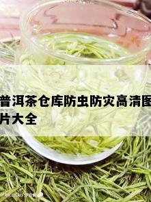 普洱茶仓库防虫防灾高清图片大全