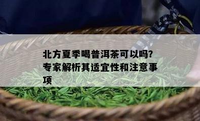 北方夏季喝普洱茶可以吗？专家解析其适宜性和注意事项