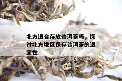 北方适合存放普洱茶吗，探讨北方地区保存普洱茶的适宜性