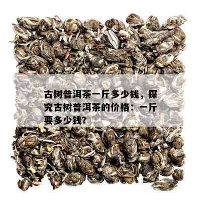 古树普洱茶一斤多少钱，探究古树普洱茶的价格：一斤要多少钱？