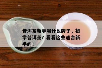 普洱茶新手喝什么牌子，初学普洱茶？看看这些适合新手的！