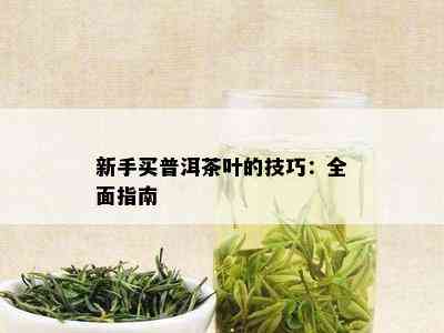 新手买普洱茶叶的技巧：全面指南