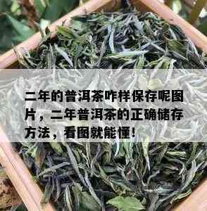 二年的普洱茶咋样保存呢图片，二年普洱茶的正确储存方法，看图就能懂！