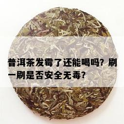 普洱茶发霉了还能喝吗？刷一刷是否安全无？