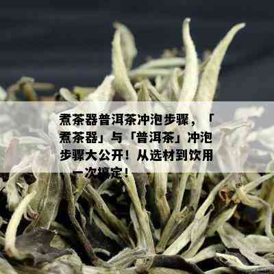 煮茶器普洱茶冲泡步骤，「煮茶器」与「普洱茶」冲泡步骤大公开！从选材到饮用，一次搞定！