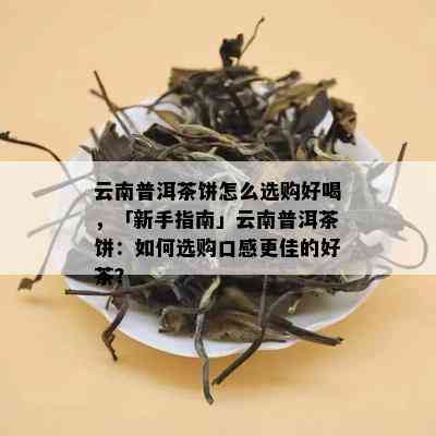 云南普洱茶饼怎么选购好喝，「新手指南」云南普洱茶饼：如何选购口感更佳的好茶？