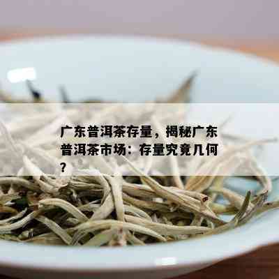 广东普洱茶存量，揭秘广东普洱茶市场：存量究竟几何？