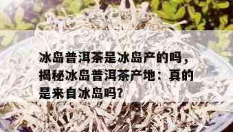 冰岛普洱茶是冰岛产的吗，揭秘冰岛普洱茶产地：真的是来自冰岛吗？