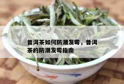 普洱茶如何防潮发霉，普洱茶的防潮发霉指南