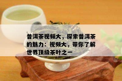 普洱茶视频大，探索普洱茶的魅力：视频大，带你了解世界顶级茶叶之一