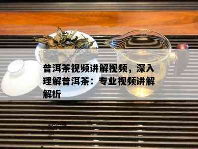 普洱茶视频讲解视频，深入理解普洱茶：专业视频讲解解析