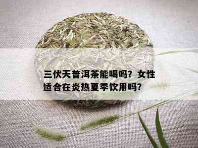 三伏天普洱茶能喝吗？女性适合在炎热夏季饮用吗？