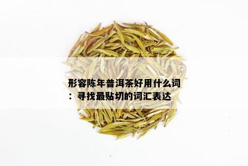 形容陈年普洱茶好用什么词：寻找最贴切的词汇表达