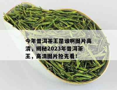 今年普洱茶王是谁啊图片高清，揭秘2023年普洱茶王，高清图片抢先看！