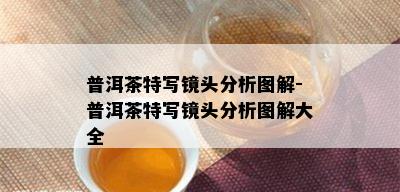 普洱茶特写镜头分析图解-普洱茶特写镜头分析图解大全