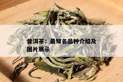 普洱茶：最知名品种介绍及图片展示