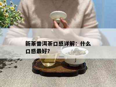 新茶普洱茶口感详解：什么口感更好？