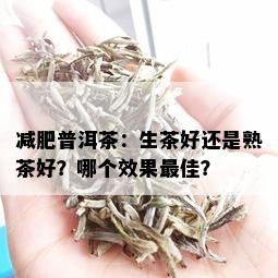 减肥普洱茶：生茶好还是熟茶好？哪个效果更佳？