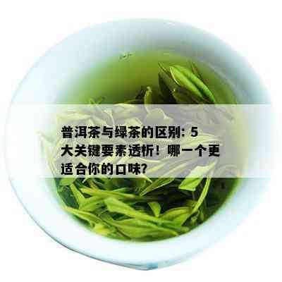 普洱茶与绿茶的区别: 5大关键要素透析！哪一个更适合你的口味？