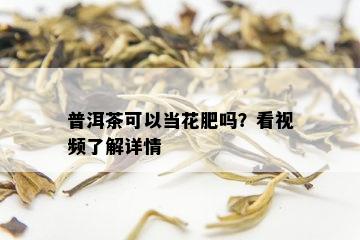 普洱茶可以当花肥吗？看视频了解详情