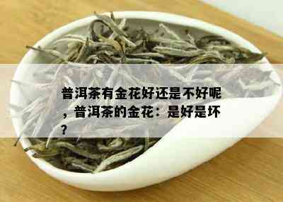 普洱茶有金花好还是不好呢，普洱茶的金花：是好是坏？