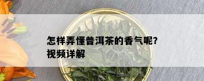 怎样弄懂普洱茶的香气呢？视频详解