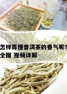 怎样弄懂普洱茶的香气呢？全图 视频详解