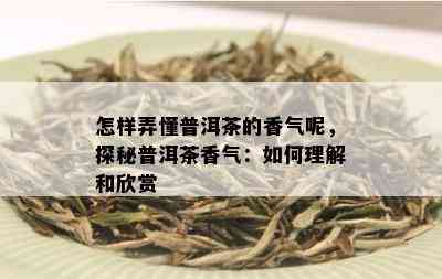 怎样弄懂普洱茶的香气呢，探秘普洱茶香气：如何理解和欣赏