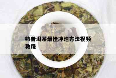 熟普洱茶更佳冲泡方法视频教程