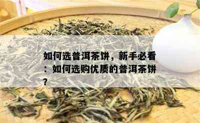 如何选普洱茶饼，新手必看：如何选购优质的普洱茶饼？