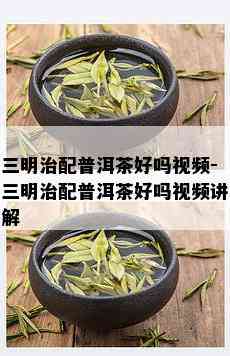 三明治配普洱茶好吗视频-三明治配普洱茶好吗视频讲解