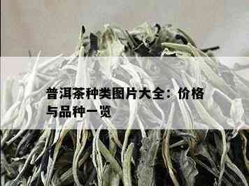 普洱茶种类图片大全：价格与品种一览