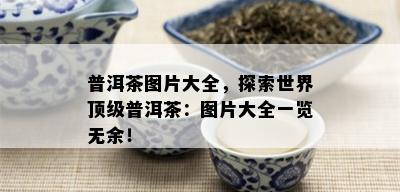 普洱茶图片大全，探索世界顶级普洱茶：图片大全一览无余！