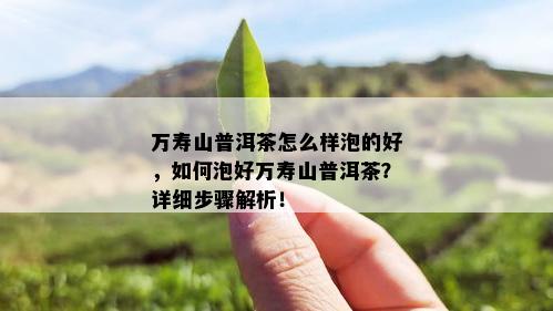 万寿山普洱茶怎么样泡的好，如何泡好万寿山普洱茶？详细步骤解析！