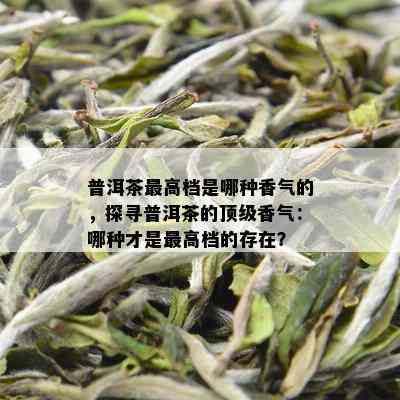 普洱茶更高档是哪种香气的，探寻普洱茶的顶级香气：哪种才是更高档的存在？