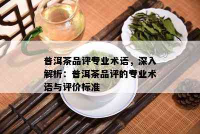 普洱茶品评专业术语，深入解析：普洱茶品评的专业术语与评价标准