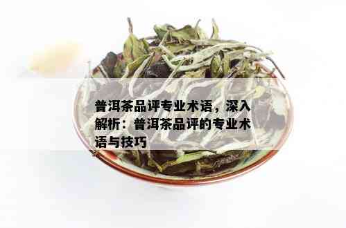 普洱茶品评专业术语，深入解析：普洱茶品评的专业术语与技巧