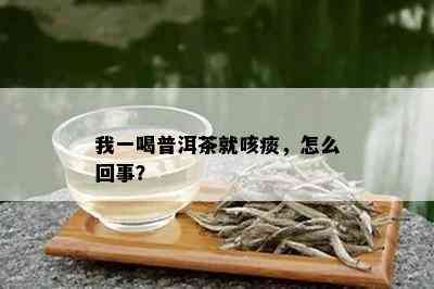 我一喝普洱茶就咳痰，怎么回事？