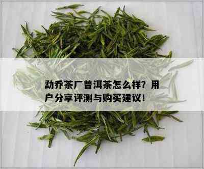 勐乔茶厂普洱茶怎么样？用户分享评测与购买建议！