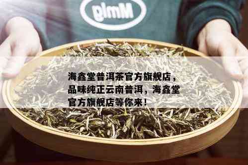 海鑫堂普洱茶官方旗舰店，品味纯正云南普洱，海鑫堂官方旗舰店等你来！