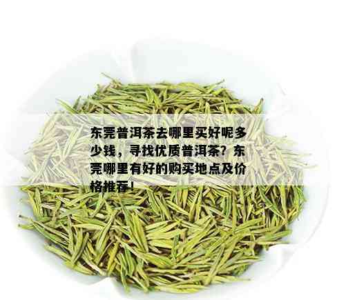 东莞普洱茶去哪里买好呢多少钱，寻找优质普洱茶？东莞哪里有好的购买地点及价格推荐！