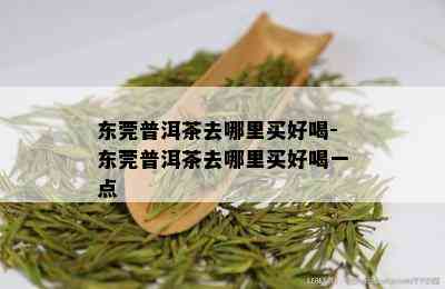 东莞普洱茶去哪里买好喝-东莞普洱茶去哪里买好喝一点