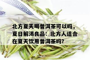 北方夏天喝普洱茶可以吗，夏日解渴良品：北方人适合在夏天饮用普洱茶吗？