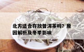 北方适合存放普洱茶吗？原因解析及冬季影响