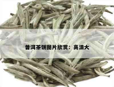 普洱茶饼图片欣赏：高清大