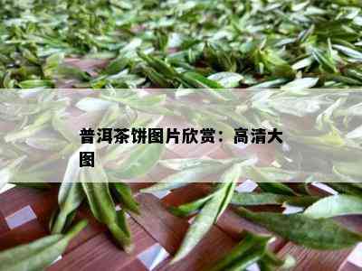 普洱茶饼图片欣赏：高清大图