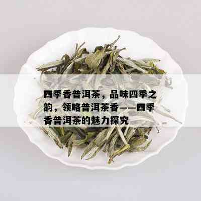 四季香普洱茶，品味四季之韵，领略普洱茶香——四季香普洱茶的魅力探究